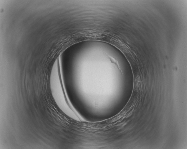 X0000087421202200704201037