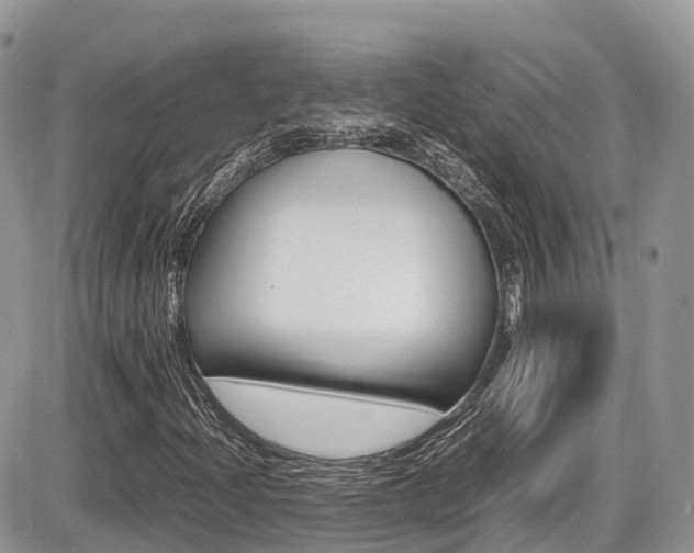 X0000087421204200704201037