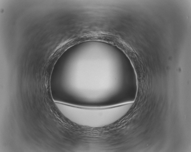 X0000087421206200704201037