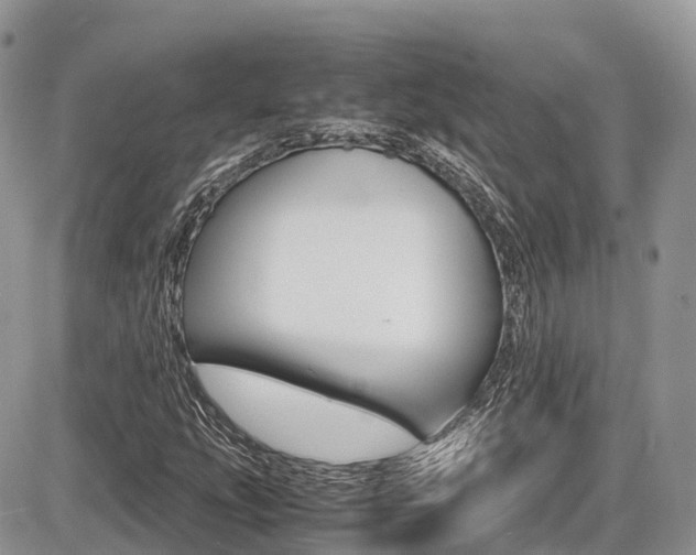 X0000087421207200704201037