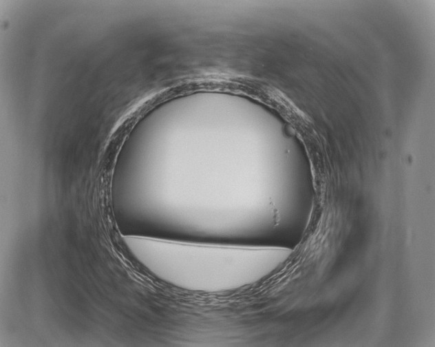 X0000087421208200704201037