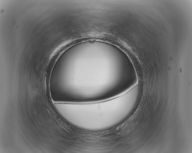 X0000087421214200704201037
