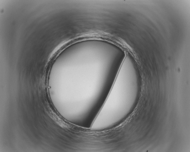 X0000087421216200704201037