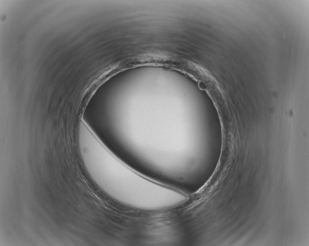 X0000087421217200704201037