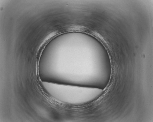 X0000087421219200704201037
