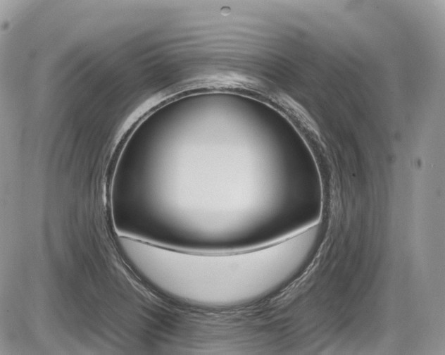 X0000087421226200704201037