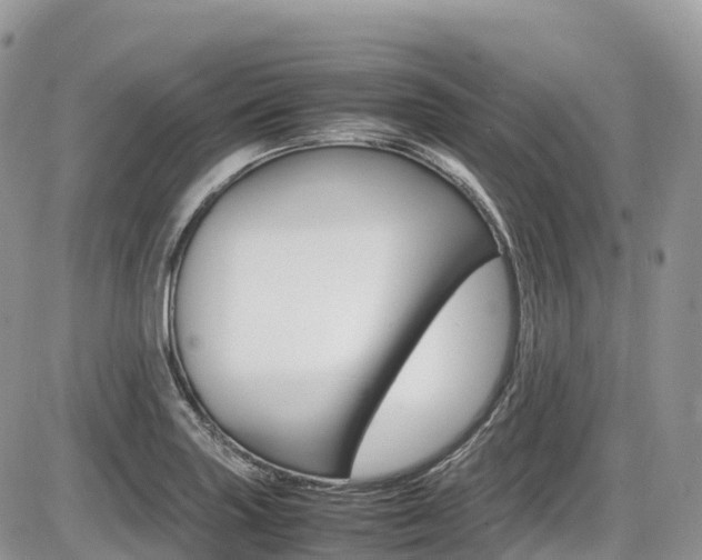 X0000087421227200704201037