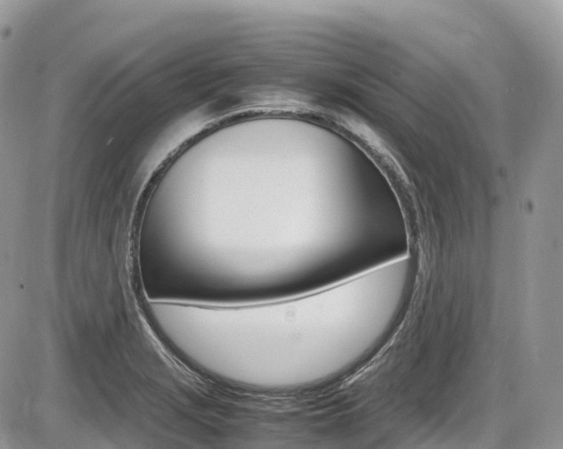 X0000087421229200704201037