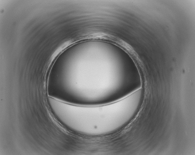 X0000087421234200704201037
