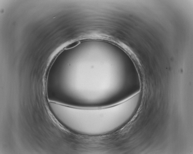 X0000087421238200704201037