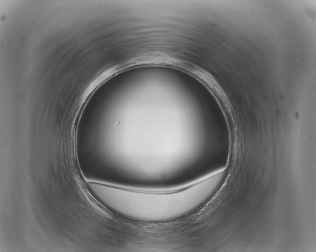 X0000087421242200704201037