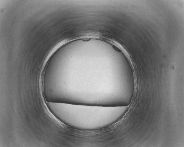 X0000087421243200704201037