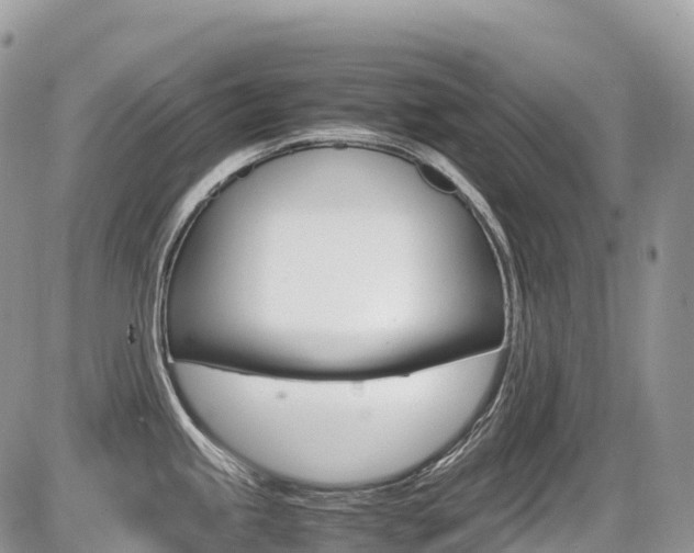 X0000087421245200704201037
