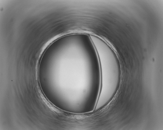 X0000087421246200704201037