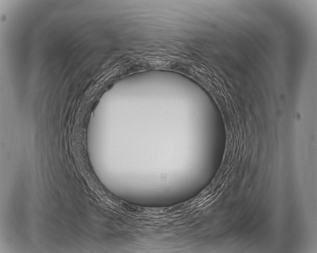 X0000087421249200704201037