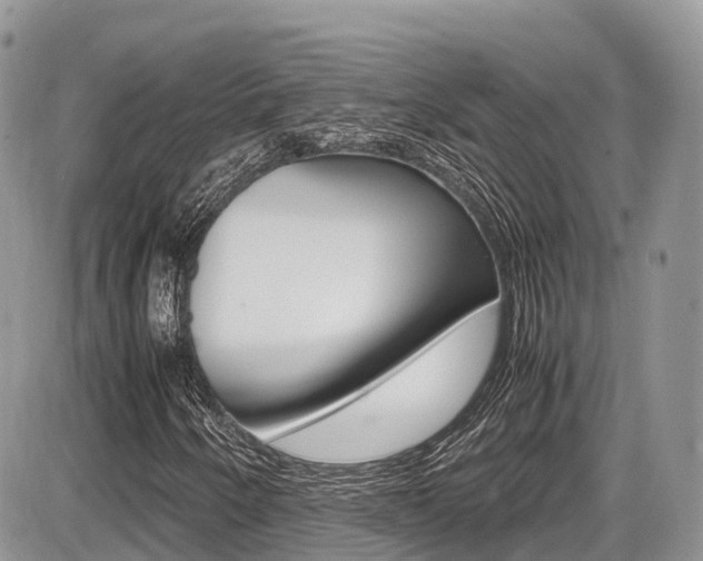 X0000087421250200704201037