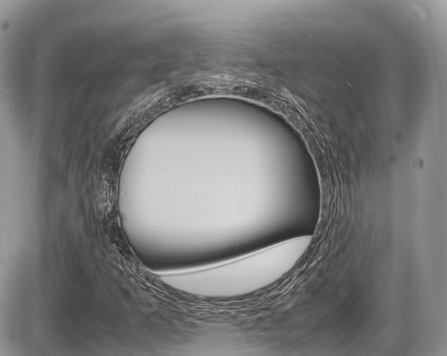 X0000087421253200704201037