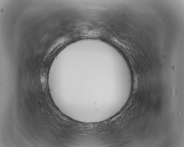 X0000087421254200704201037
