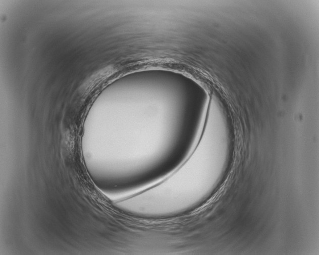 X0000087421257200704201037