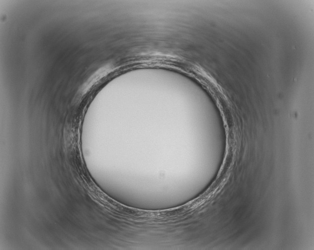 X0000087421259200704201037