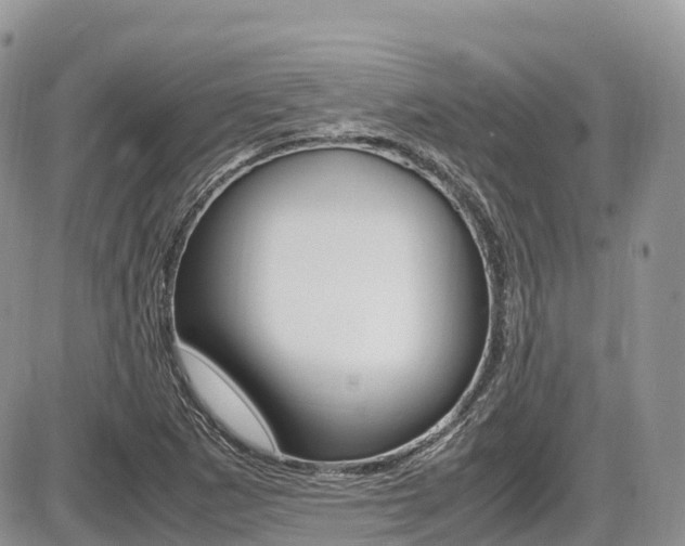 X0000087421265200704201036