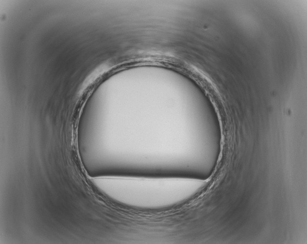 X0000087421267200704201036