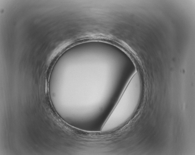 X0000087421269200704201036