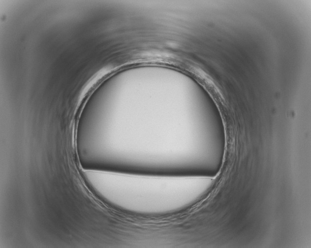 X0000087421275200704201036