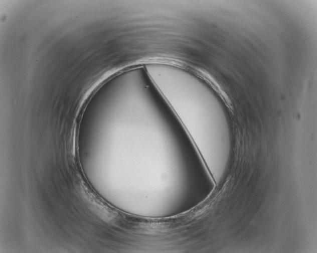 X0000087421276200704201036