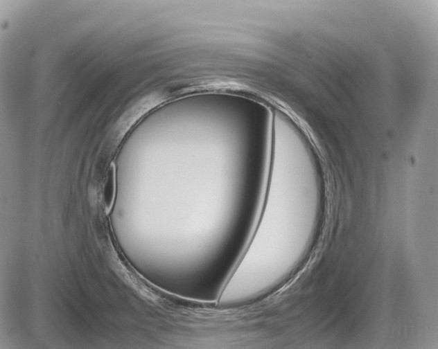 X0000087421281200704201036