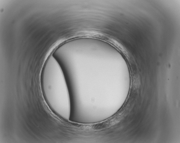 X0000087421283200704201036