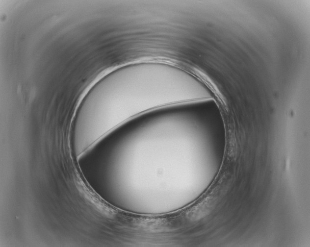 X0000087421284200704201036