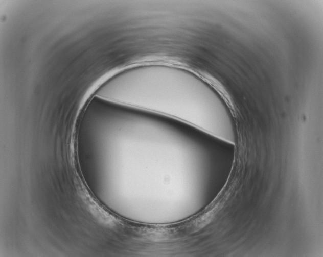 X0000087421288200704201036