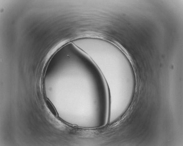 X0000087421293200704201036