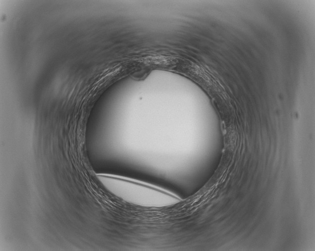 X0000087421297200704201035