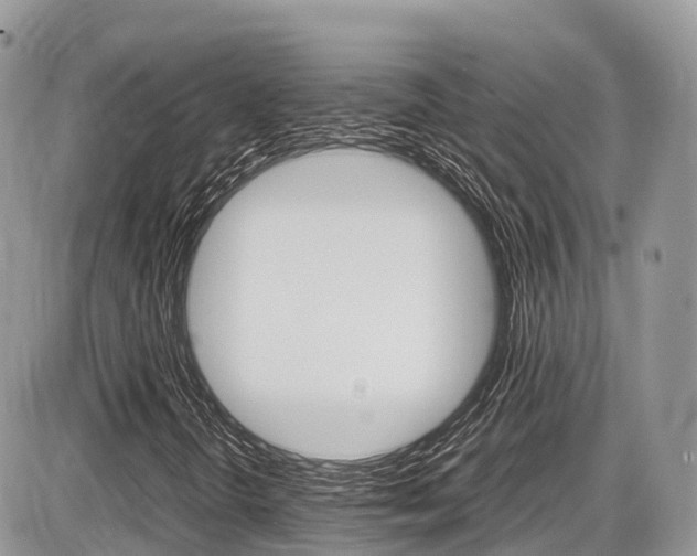 X0000087421298200704201035