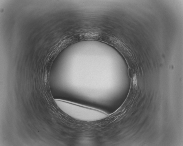 X0000087421299200704201035