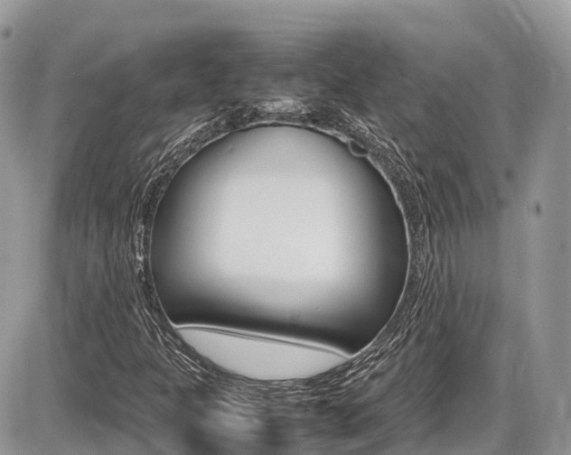 X0000087421301200704201035