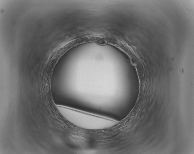 X0000087421303200704201035
