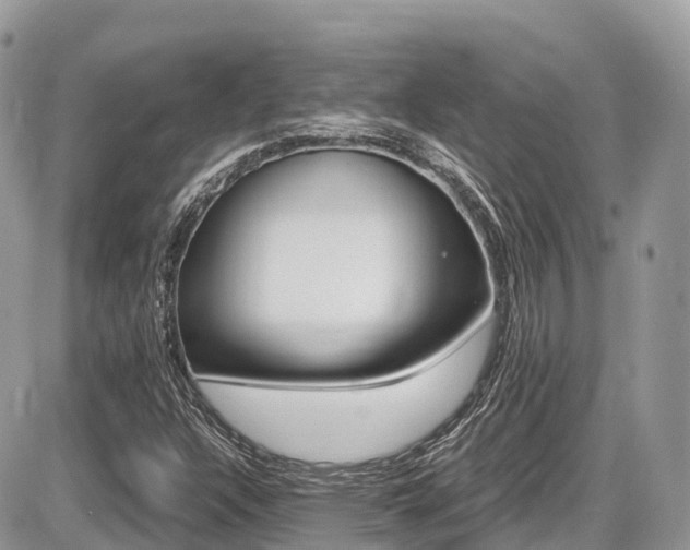 X0000087421304200704201035