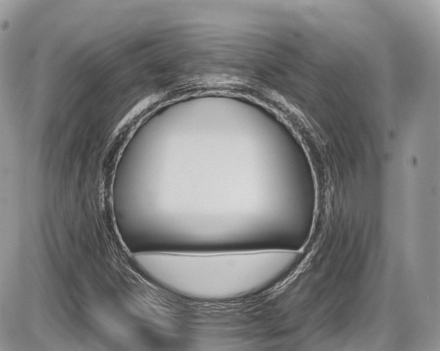X0000087421306200704201035