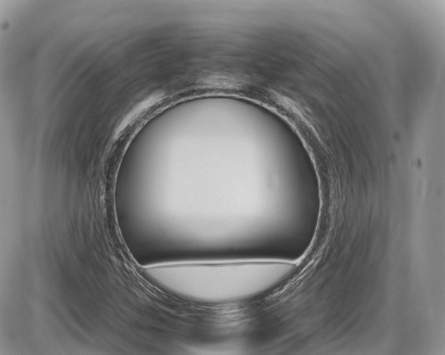 X0000087421307200704201035