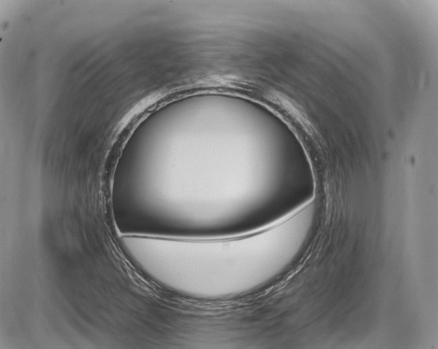 X0000087421308200704201035