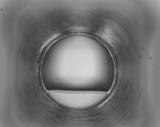 X0000087421309200704201035
