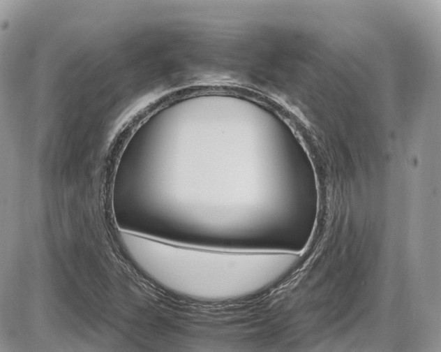 X0000087421311200704201035