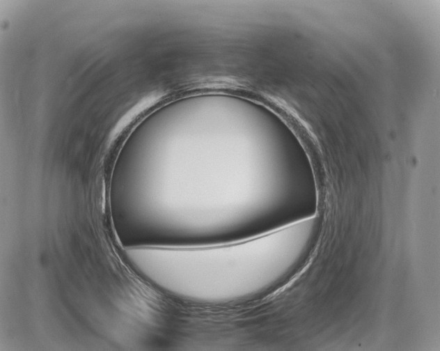 X0000087421317200704201036