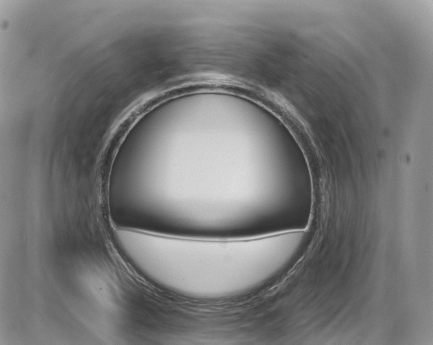 X0000087421318200704201036