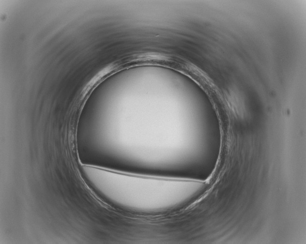 X0000087421321200704201036