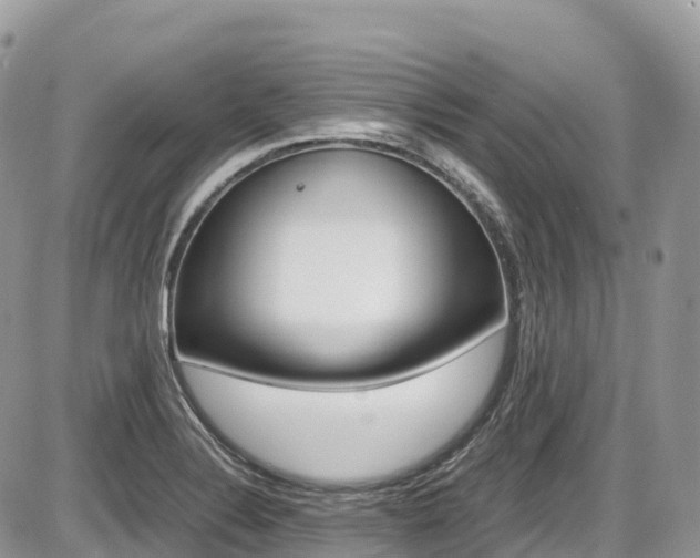 X0000087421324200704201036