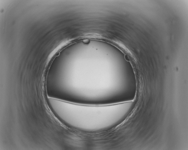 X0000087421325200704201036